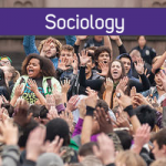 UW Department of Sociology