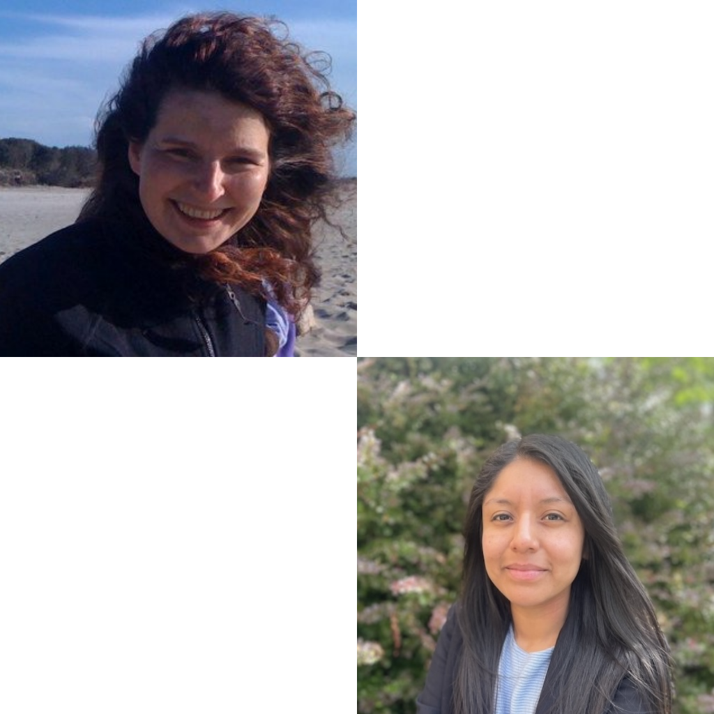 Guttmannova, Martinez, and Co-authors Assess Measurement Equivalence of a Depressive Symptoms Scale Across Latinx Youth by Immigrant Generation Status